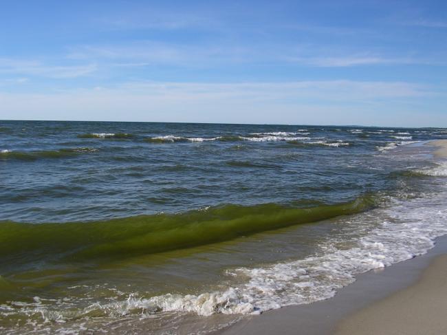 Специалисты изучат загадочные явления в Балтийском море