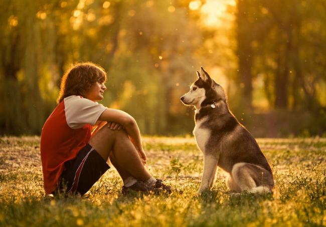 Собаки снижают риск сердечно-сосудистых заболеваний‍, - ученые