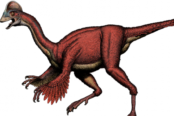 Ученые раскопали останки пернатого динозавра
