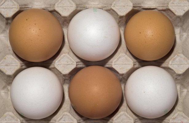 Куриные яйца помогают младенцам развивать мозг