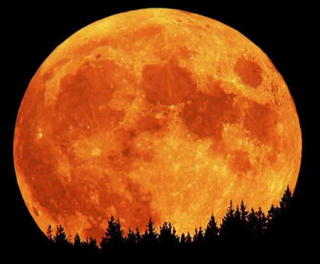 Луна приблизилась к Земле на рекордное расстояние