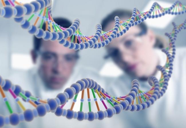 Ученые нашли гены гомосексуальности