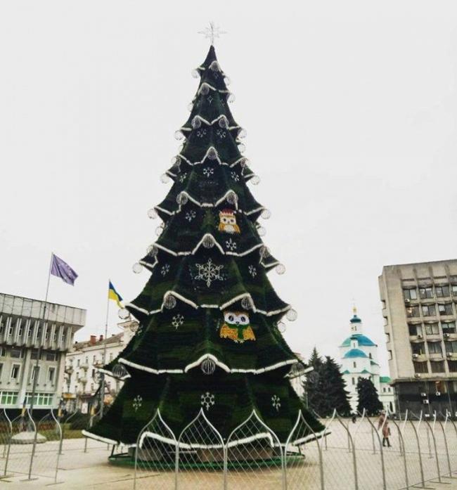 Стало известно, в каком городе установлена самая дорогая новогодняя елка страны (ФОТО)