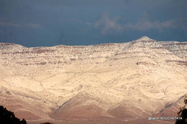 В пустыне Сахара выпал снег (ФОТО) В пустыне Сахара выпал снег (ФОТО)