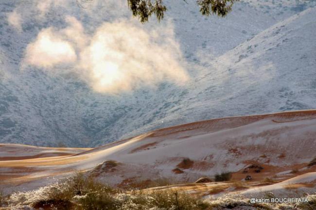 В пустыне Сахара выпал снег (ФОТО) В пустыне Сахара выпал снег (ФОТО)
