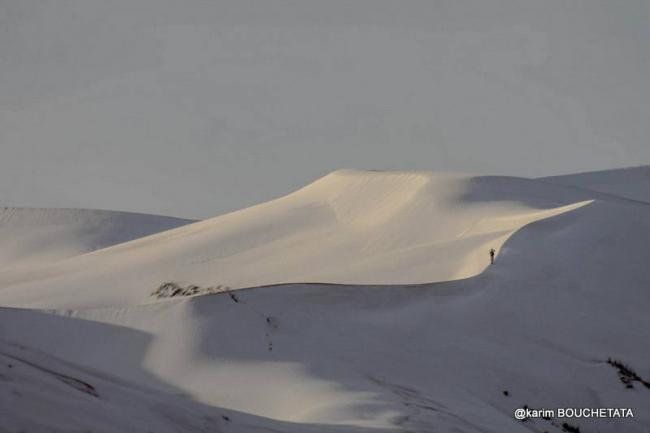 В пустыне Сахара выпал снег (ФОТО) В пустыне Сахара выпал снег (ФОТО)