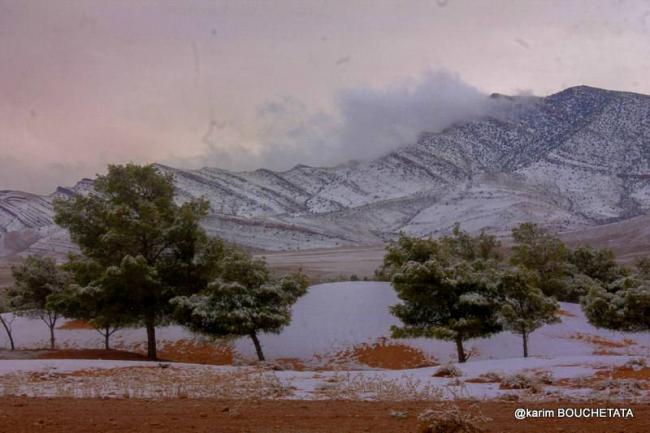 В пустыне Сахара выпал снег (ФОТО) В пустыне Сахара выпал снег (ФОТО)