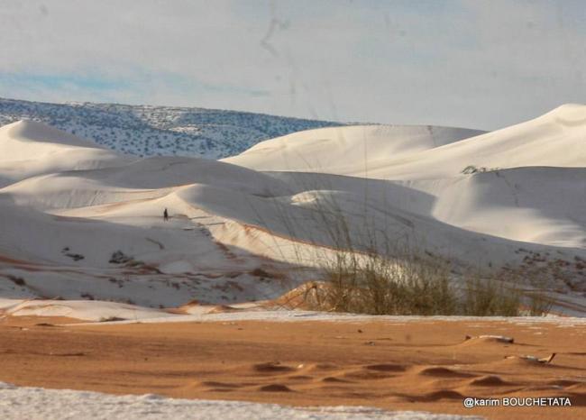 В пустыне Сахара выпал снег (ФОТО) В пустыне Сахара выпал снег (ФОТО)