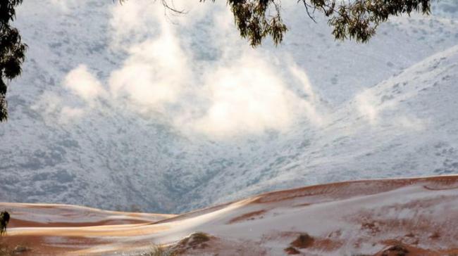 В пустыне Сахара выпал снег (ФОТО)