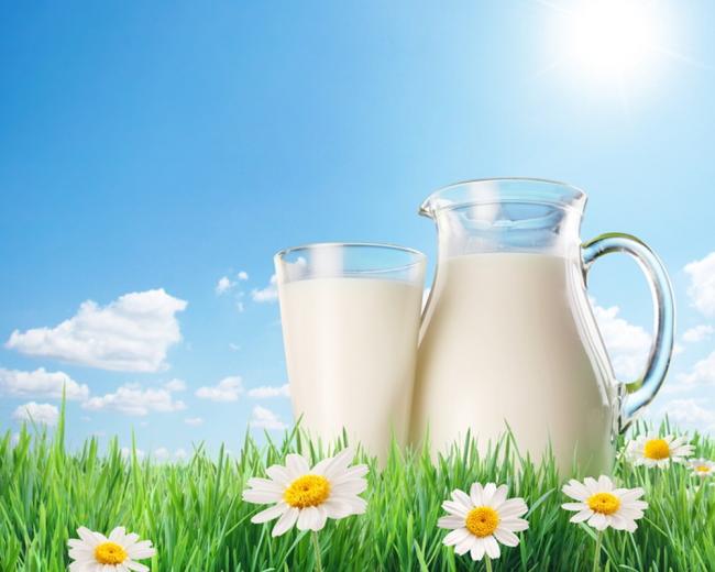Ученые назвали лучшую альтернативу коровьему молоку