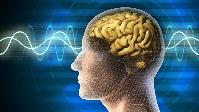 Американские ученые создали создали уникальный имплантат для головного мозга