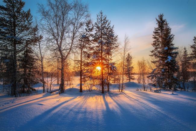 Курьезные снимки, показывающие всю боль и радости зимы (ФОТО)