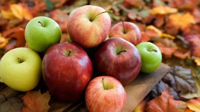 Украина значительно увеличила экспорт яблок