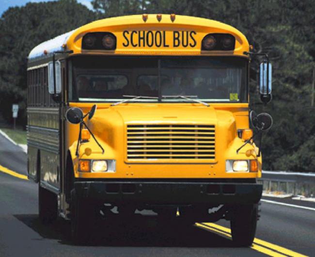 В школах США собираются создать отряды вооруженных учителей для обороны от стрелков