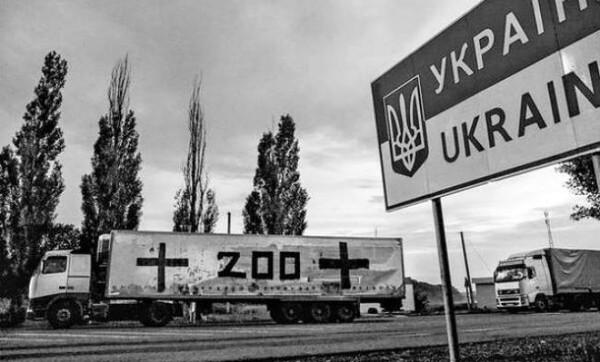 В Украине рассказали про огромные потери воинов Путина на Донбассе в начале войны: названы цифры