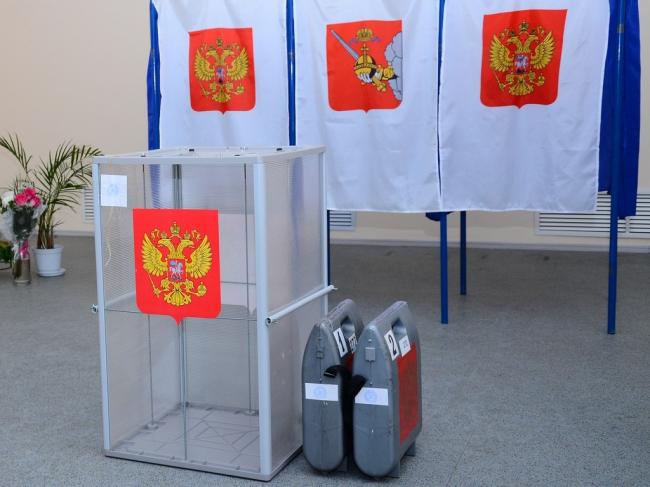 Международные наблюдатели рассказали о “бессмысленности" проведения выборов президента РФ