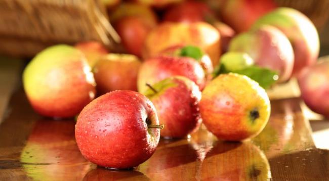 Американские ученые опровергли мифы о целебных свойствах яблок