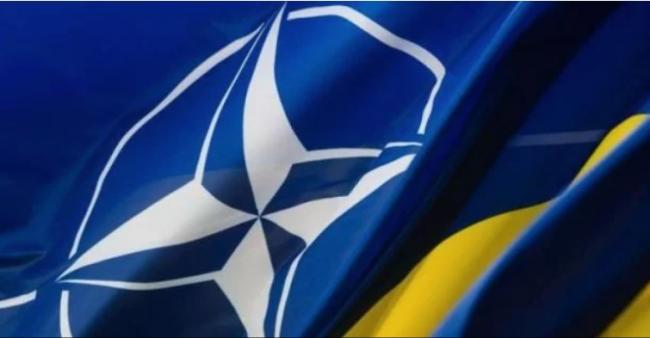 Украина не состоялась как государство: Венгрия выступила с требованием о пересмотре всех программ сотрудничества Украины с НАТО