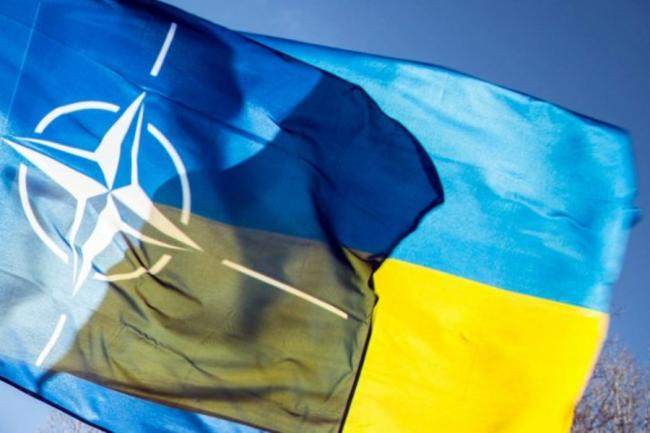 Украина переводит весь сектор обороны и безопасности на стандарты НАТО