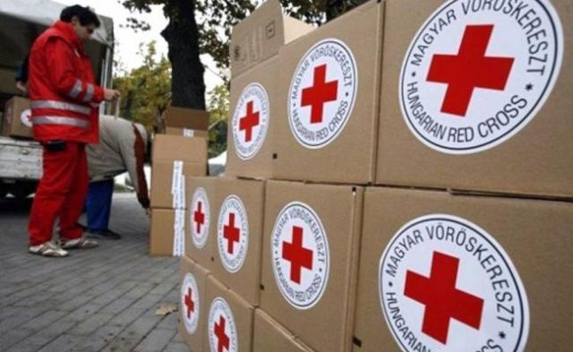 Красный Крест готовит новые гуманитарные проекты на Донбассе