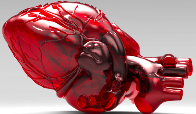 Американские ученые напечатают сердечную мышцу на 3D-принтере