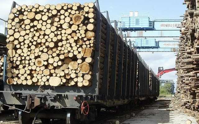 В Украине вводится уголовная ответственность за контрабанду леса