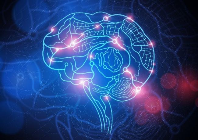 Неврологи опробовали уникальный способ омоложения мозга