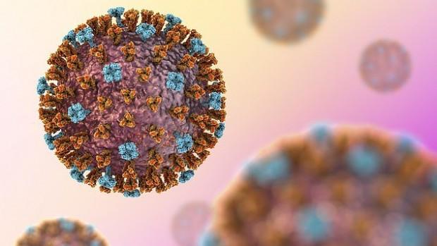 Ученые из Нидерландов разрабатывают эффективное лекарство от гриппа