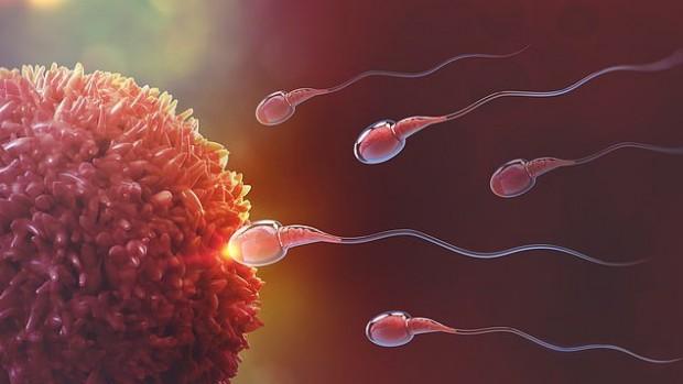 Ученые обнаружили ген, связанный с мужским бесплодием