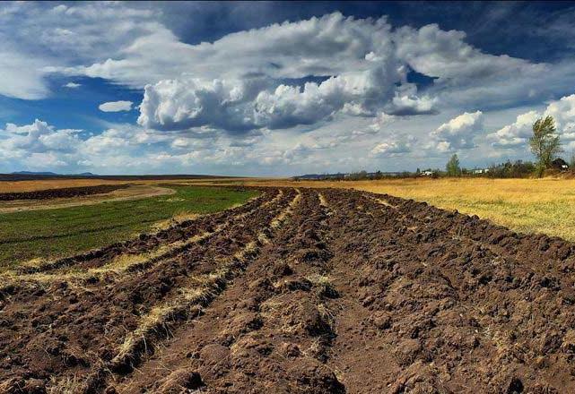 Инвентаризацию земель в Украине завершат через год