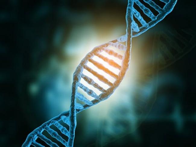 Ученые обнаружили 10 главных генов шизофрении