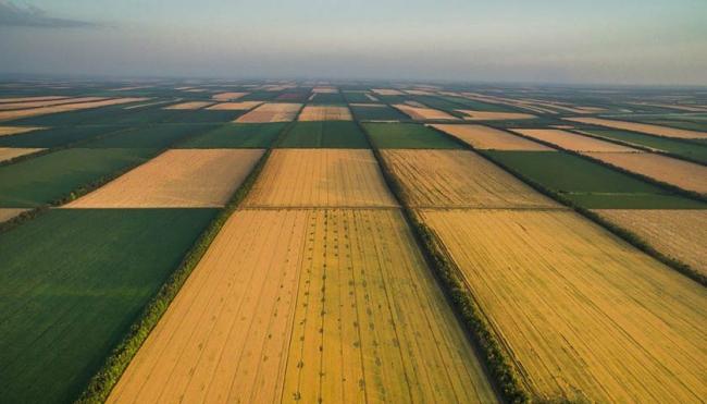 Украинцы негативно относятся к рынку земли, приватизации и игорному бизнесу