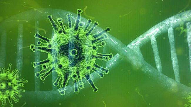 Украинцы назвали главные страхи от эпидемии коронавируса