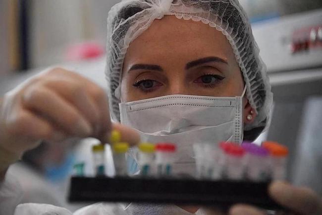 За сутки коронавирус выявили еще у 81 украинского медика, общее количество инфицированных медработников увеличилось до 3650