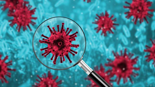 Ученые опровергли сообщения о мутации коронавируса
