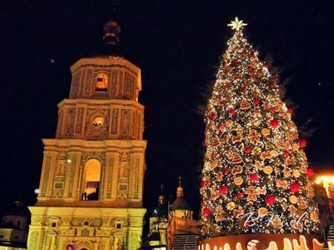 В Киеве установят рекордную новогоднюю елку "на сказочном пне"