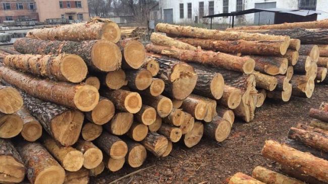 Суд ЕС признал запрет на экспорт леса-кругляка из Украины незаконным