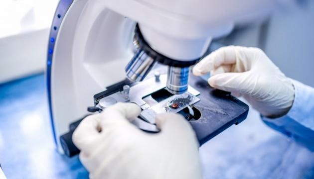 Лечение «короны» стволовыми клетками: украинские ученые получили первые результаты исследований