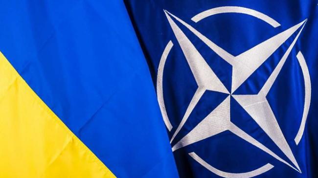 МИД о вступлении Украины в НАТО: пока мы не слышали положительной реакции
