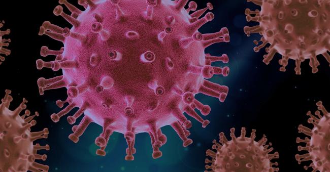 Лабораторное происхождение коронавируса допустили в разведке Британии