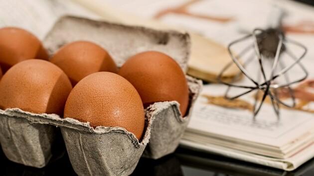 В Украине может возникнуть дефицит яиц и курятины