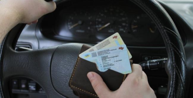 В "Дії" появилась возможность заменить водительское удостоверение