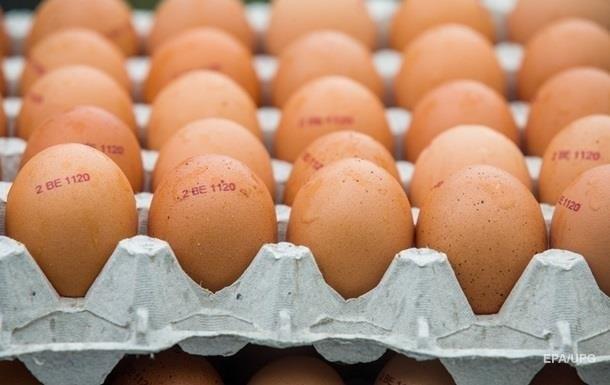 Яйца по 17 грн: Минобороны подало иск на СМИ