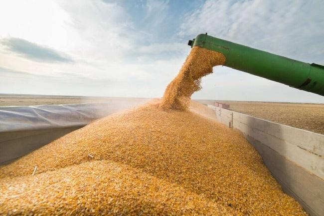 Еврокомиссия сняла запрет на импорт украинского зерна