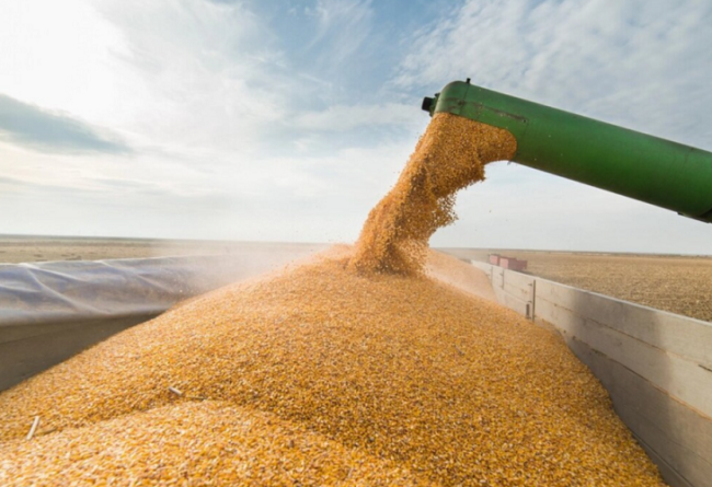 Украина может вдвое увеличить экспорт продовольствия
