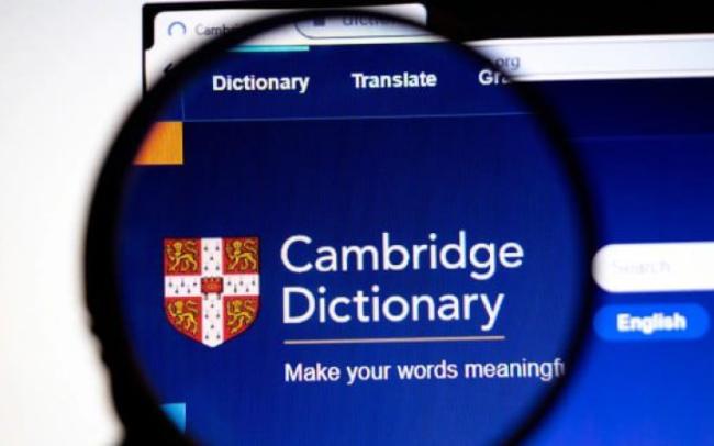 Кембриджский словарь определил слово 2025 года