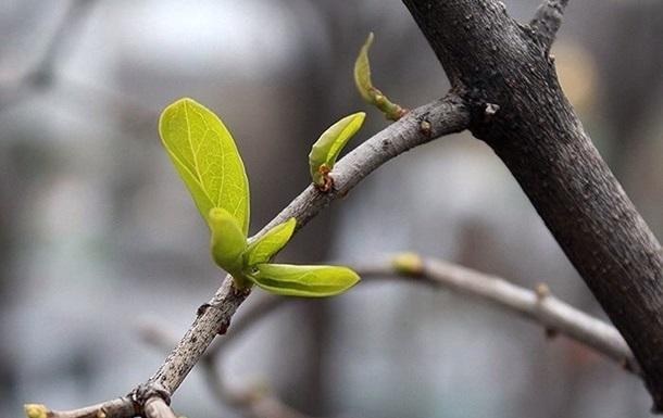 Синоптики спрогнозировали, какой будет март в Украине