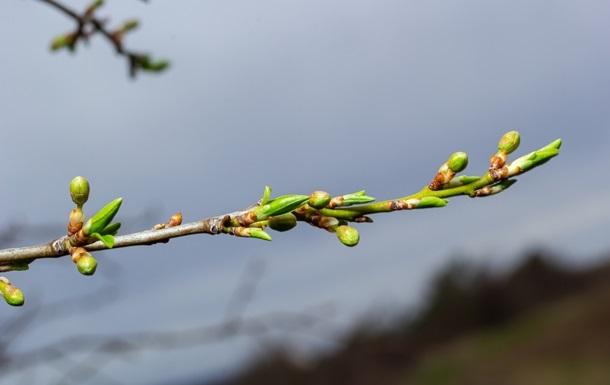 Стало известно, какая будет погода в выходные