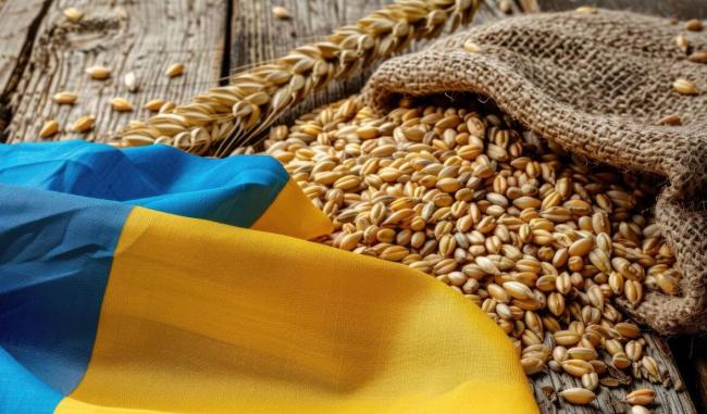 Украина сократила экспорт зерновых: объемы одной культуры уменьшились в 54 раза