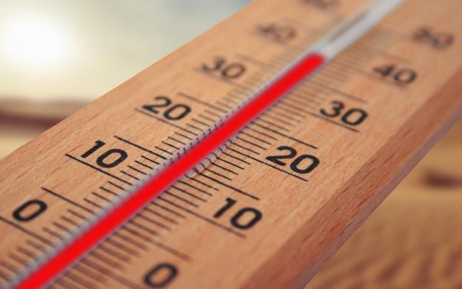 Во вторник жара во Франции стала рекордной за 79 лет, фиксировали почти 45°C